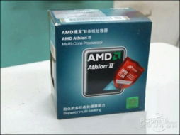 双核 三核 四核 廉价amd处理器齐到货