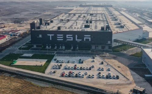 缺乏责任心的特斯拉,将事故归结于车主需要教育